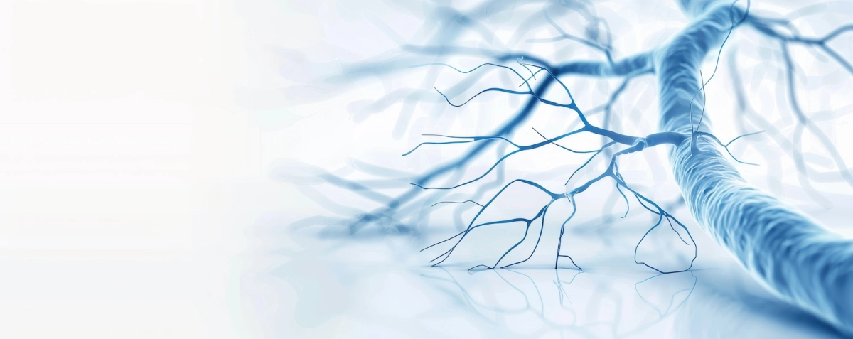 AMBULATORIO DI CHIRURGIA VASCOLARE